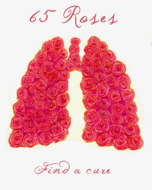 FibrosisQDgo's tweet photo. Sabías que el término 65 rosas es debido a la semejanza fonética en ingles de los términos “Sixty five roses” en comparación con “Cystic fibrosis”. Desde entonces, niños de todas las edades han utilizado el término “65 Rosas” para describir su enfermedad. https://t.co/lPoQpiFWdf