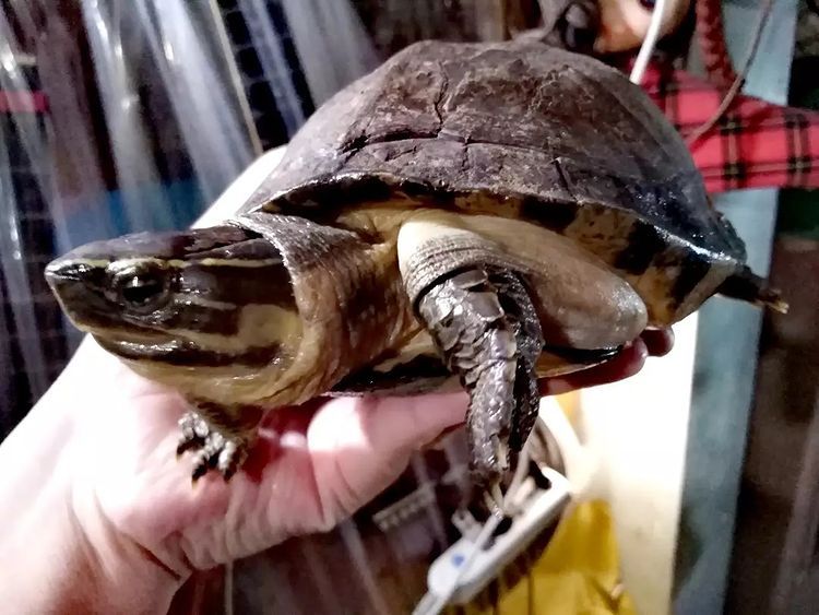 Cara Maré tweet media