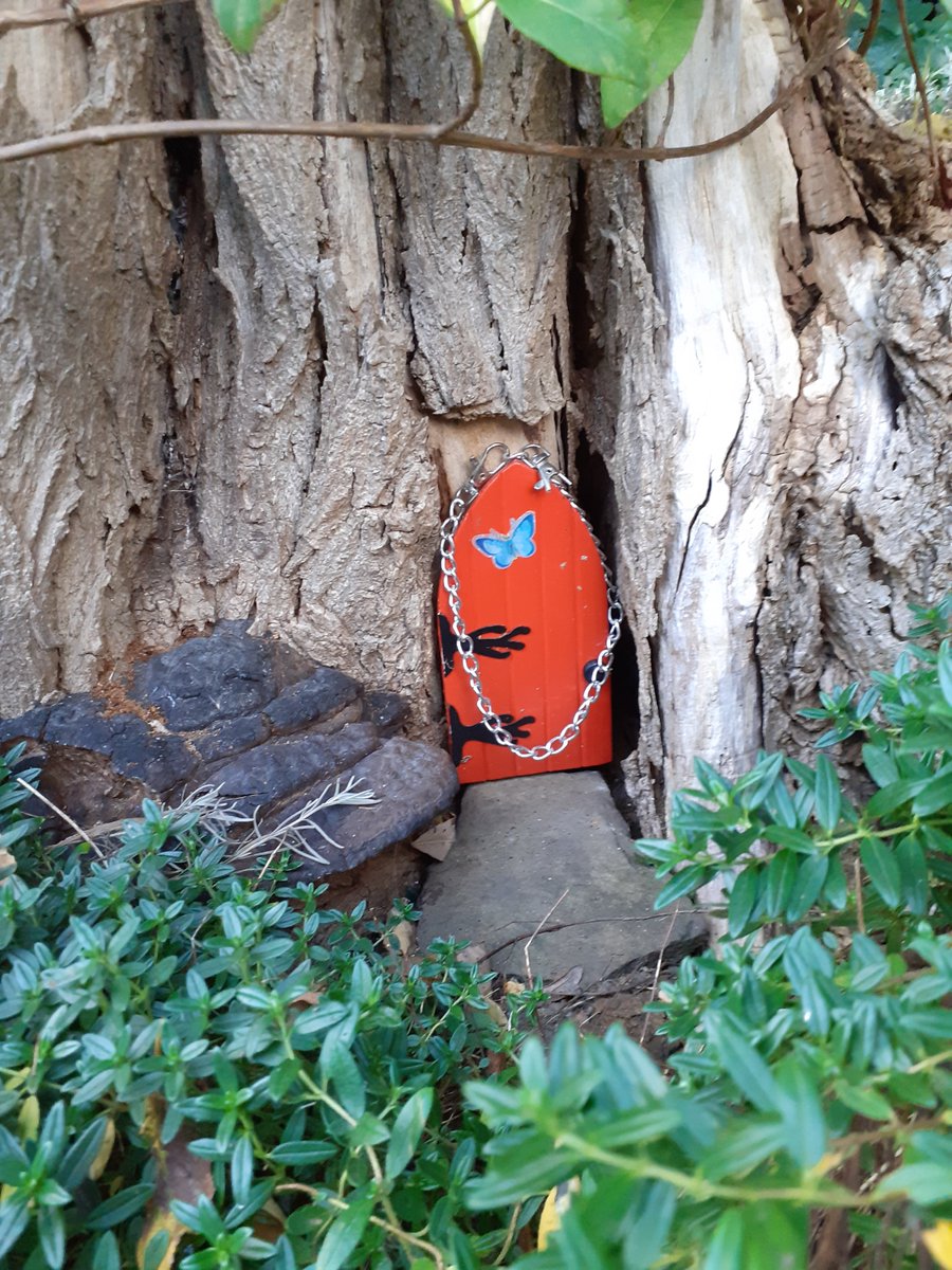 HOWInBloomers's tweet image. Today on the @HalesOwenWI2016 @HalesowenBloom plot... fairy door decor!
Thank you to the mystery placer of the lost &amp;amp; found.
