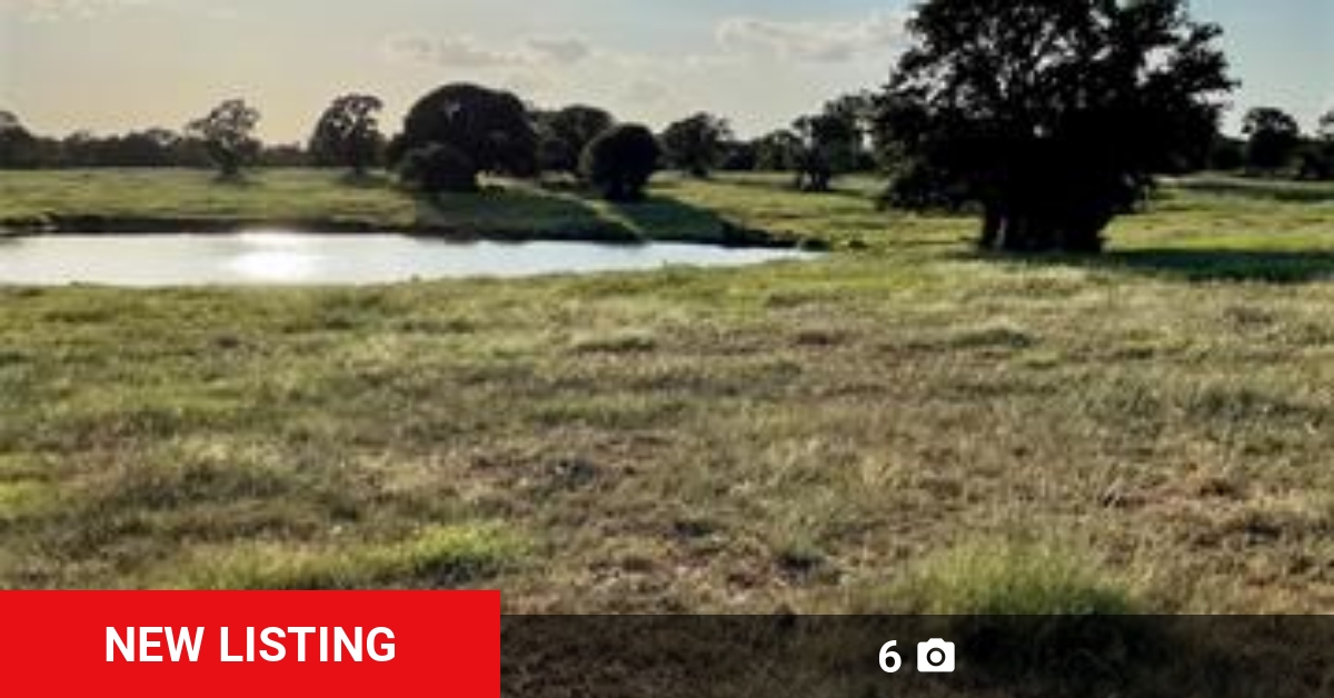 Julie Wells Realtor (wells_realtor) Twitter