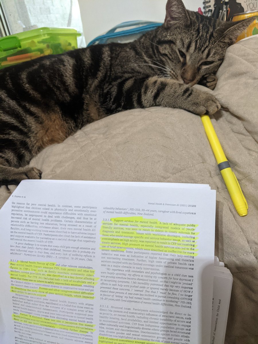 AbbyAraCUA's tweet photo. Cocco thinks #science reading is exhausting...
P.S. Great article by @Vartika_Sharmaa @ChurchillRachel @magenta_simmons
@SarahShetrick & colleagues
https://t.co/wdJHlWk7H6
P.P.S. This photo is not, in fact, staged π π€£
#catsofspsm #catsofsuicidology #AcademicCats https://t.co/6Uu6JVggho