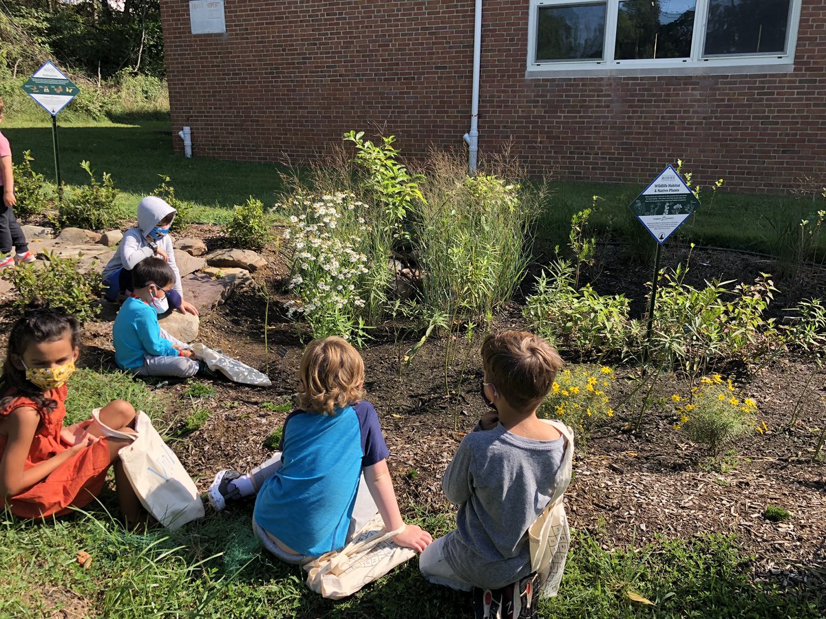 We loved spending some time in our rain garden today observing the plants and insects and recording our observations! <a href="/WatershedPCS/">Watershed PCS</a> <a href="/lori_widney/">Lori Widney</a>