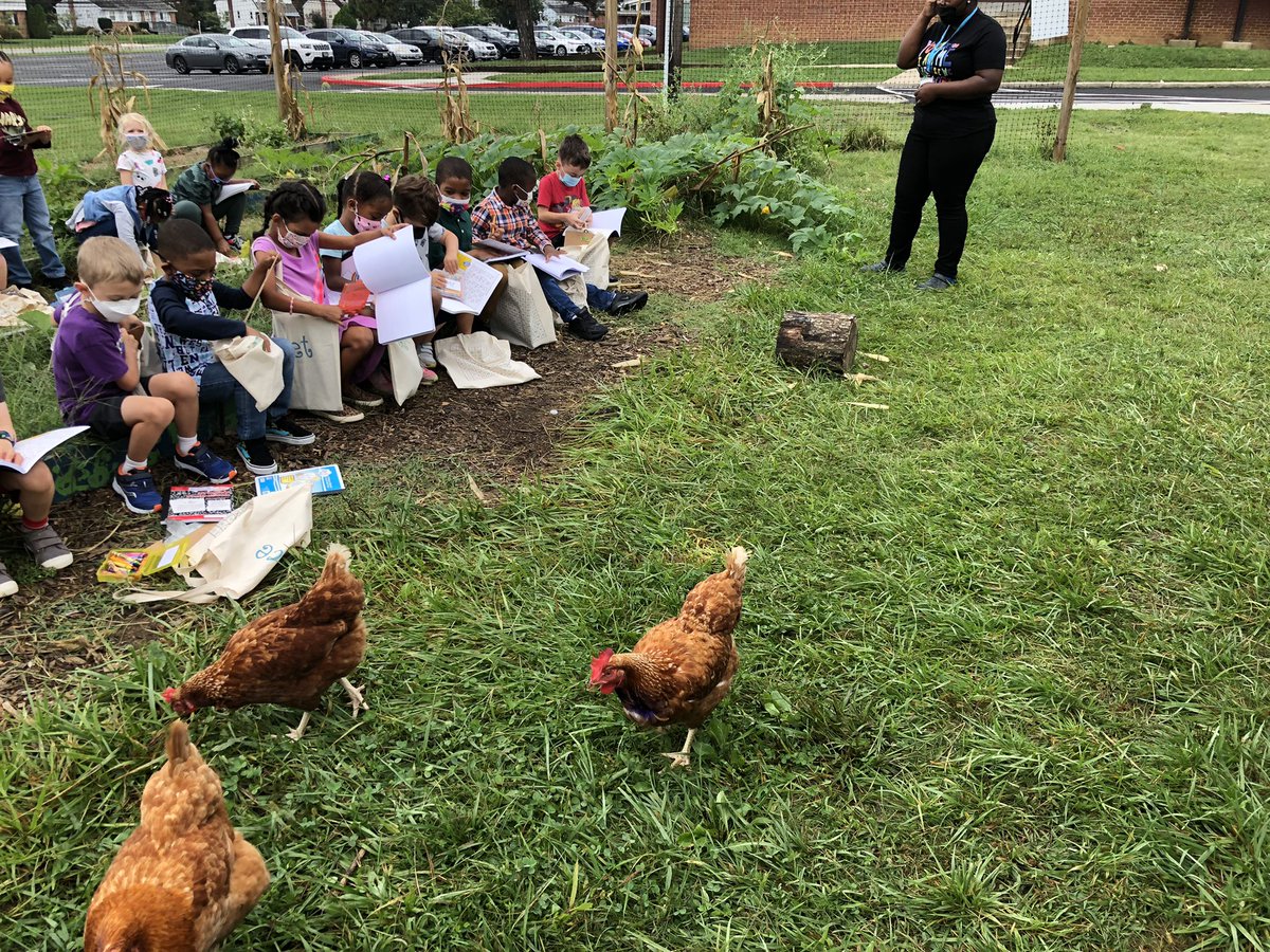 Yesterday we observed our chickens getting their #ChickenRecess for the first time this year. We learned how to keep them safe and respect their personal space! <a href="/lori_widney/">Lori Widney</a> <a href="/WatershedPCS/">Watershed PCS</a>
