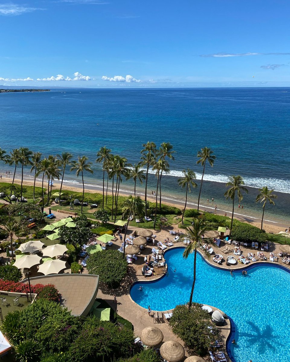 #AlohaFriday views from one of our guestrooms in the Atrium Tower!

#hyattmaui #kaanapali #mauihawaii #oceanview #mauiresort #vacationgoals #visitmaui