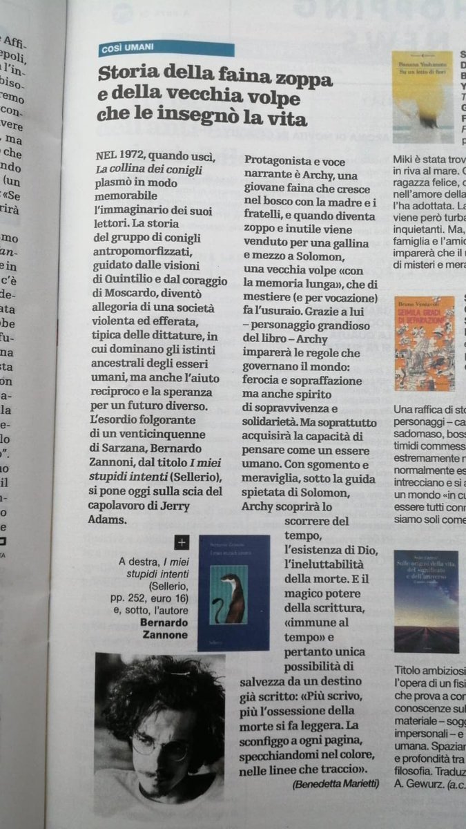 Che c'è di nuovo? Un libro! I miei stupidi intenti - Sellerio