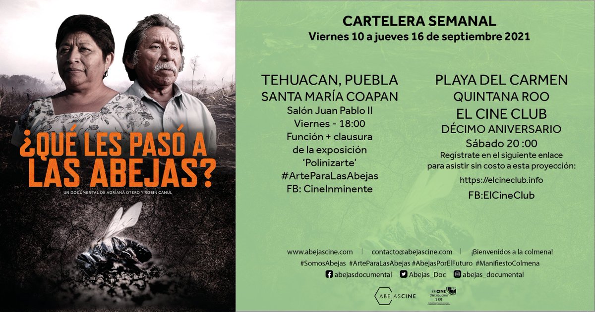 Abejas_Doc's tweet photo. ⚡️ Hoy en punto de las 18:00 en #Tehuacán, Puebla, habrá una nueva función de ¿QUÉ LES PASÓ A LAS ABEJAS? y se llevará a cabo la clausura de la exposición #Polinizarte #ArteParaLasAbejas 🎨
Gracias a @Cine_Inminente por esta maravillosa colaboración ✨🐝 https://t.co/EpILkMSXty