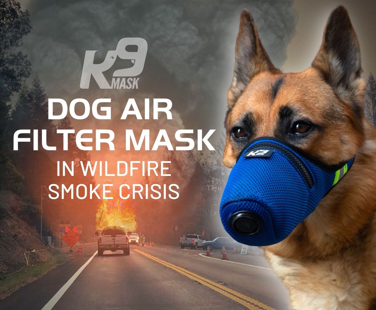 K9Mask's tweet image. Wildfire smoke choking your dog? 🌋🔥💨 K9 Mask® air filter for dogs will protect your pet from air pollution during short walks &amp;amp; bathroom breaks: K9Mask.com 
#K9Mask #pnwdog #pnwoutdoordog #pnwadventuredog #californiadog #californiaoutdoordog #californiadogtrainer