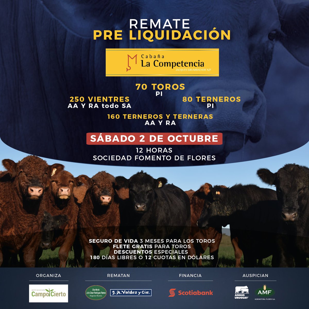 ⚠️ Atención⚠️
📣 Remate Pre Liquidación Cabaña La Competencia
📅 Sábado 2 de Octubre
📍Sociedad Fomento de Flores
Toda la info aquí 👉 bit.ly/lacompetencia2…
