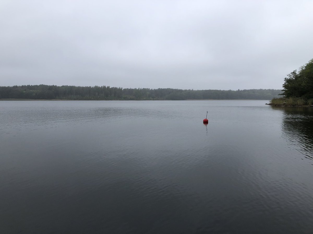 Ulrika Jonson tweet media