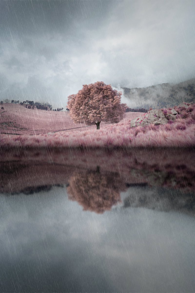 AmaurieRaz's tweet photo. I’ll also included a few random infrared shots as well. Here are a few examples

#TheDimensional https://t.co/iIjhxYKfRh