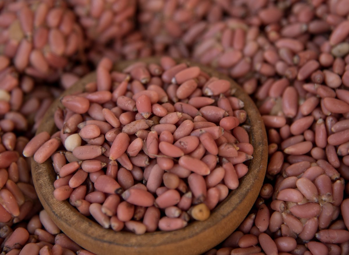 #Sabíasque los piñones son caros puesto que no se cultivan, sino que se recogen directamente de los bosques.