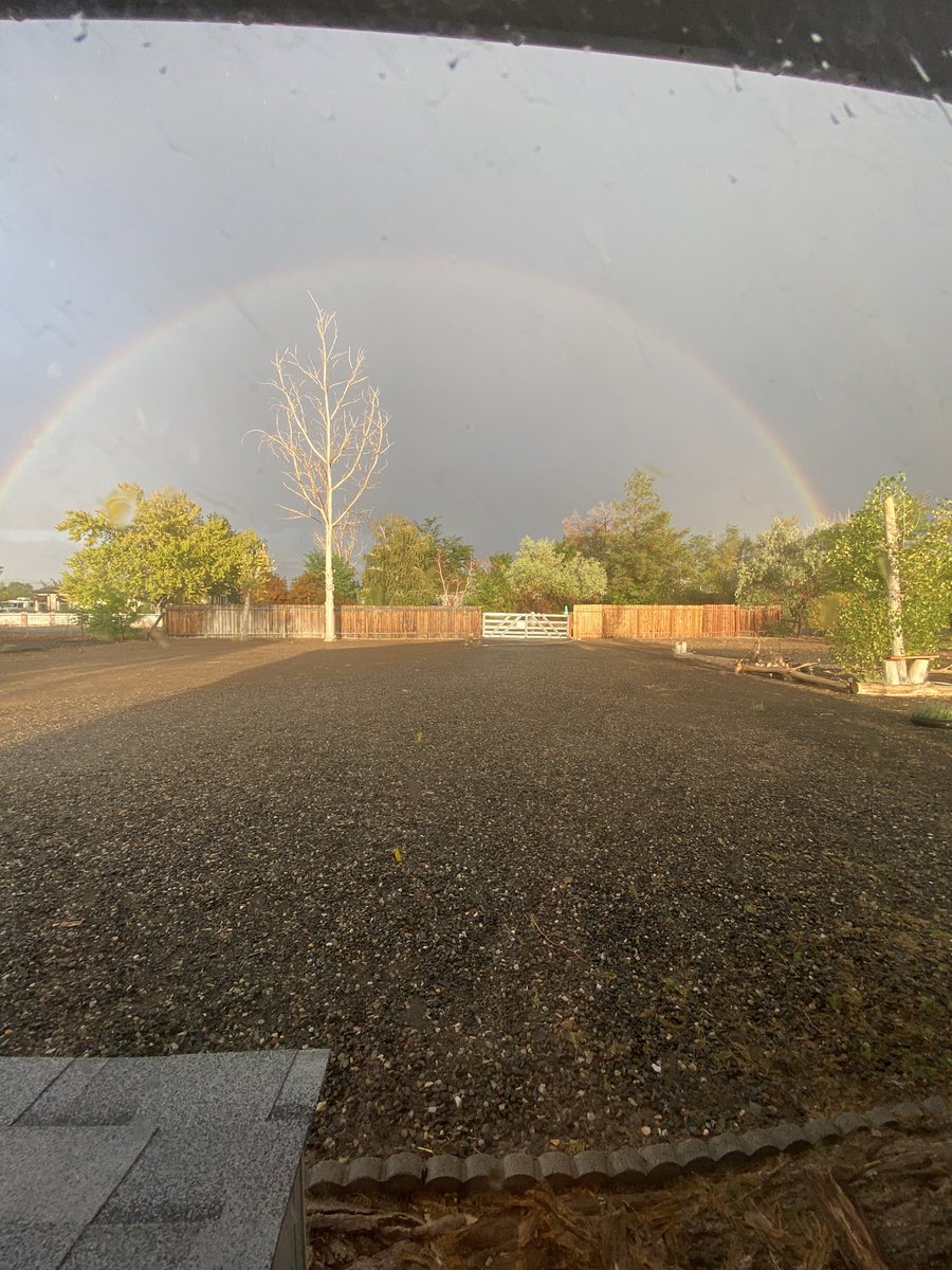 Rain in Northern NV!!! Yes!!!