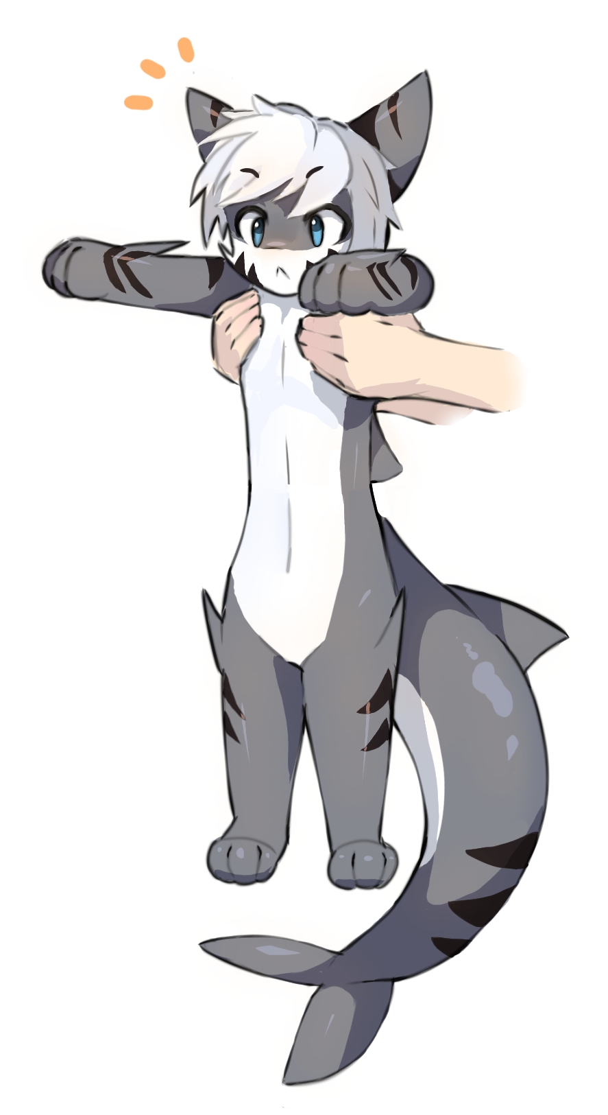 Фурри changed Tiger Shark