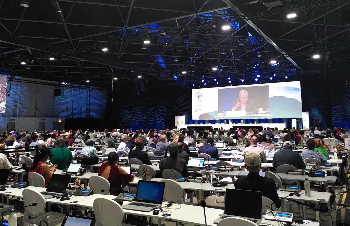 Une motion sur le cadre mondial pour la biodiversité vient d’être adopté au #IUCNcongress. Des avancées sur les objectifs 2030 :
✅ Infléchir la perte de nature
✅ Réduire de moitié l’empreinte de production et de consommation
✅ Limiter les flux financiers néfastes à la nature