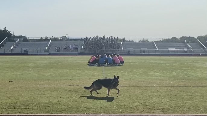 I love <a href="/SiegelHighDance/">Siegel High Dance Team</a> so much I was hoping I could showcase my talents with them! <a href="/SiegelHighStars/">Siegel High School</a>