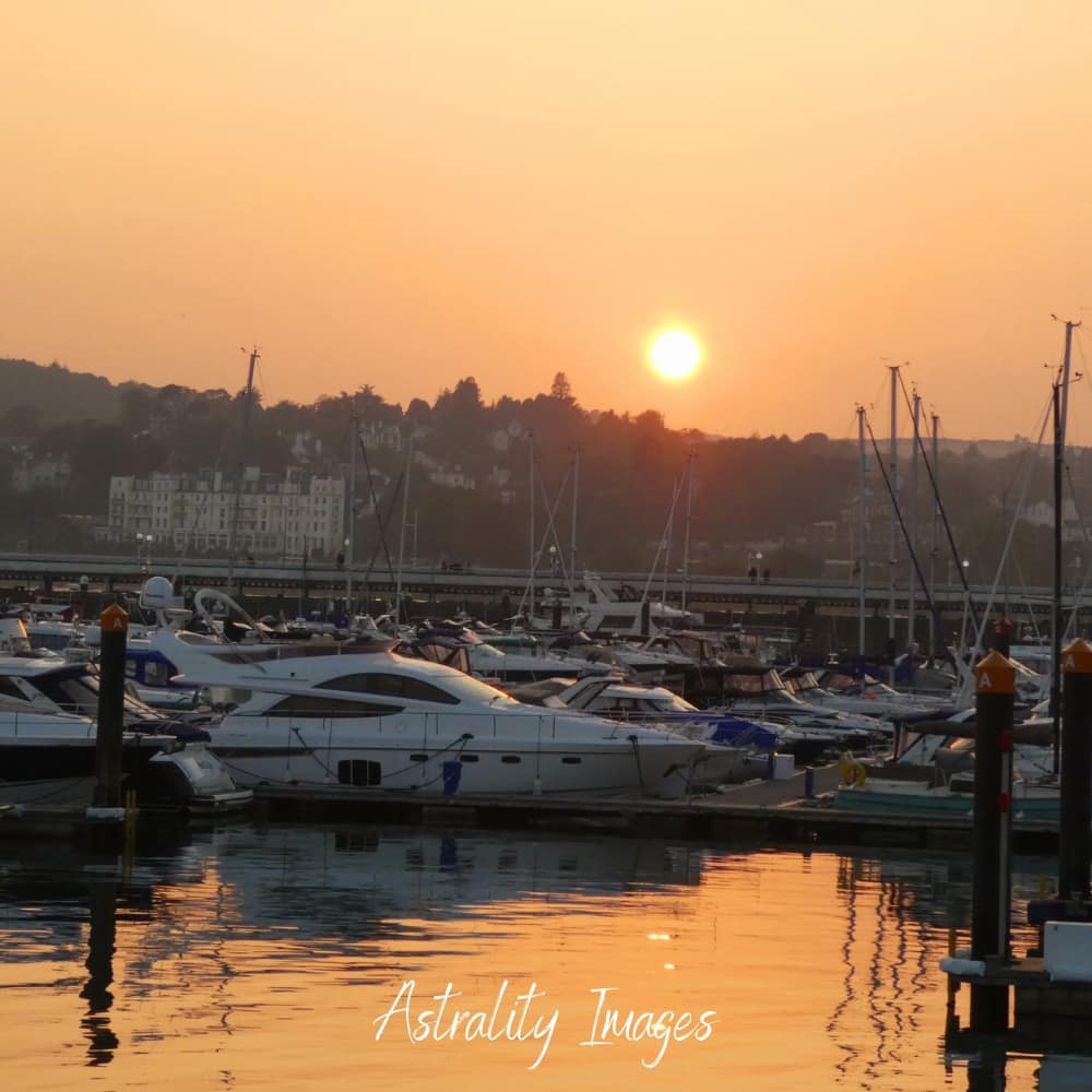 Some highlights from August.  All images can be purchased in mounts.  Check out our gallery on astralitybusinessservices.co.uk/photography 

#photography #Torquay #Wildlife