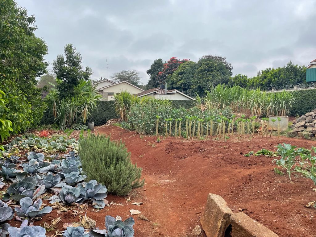 Mwangi_James_MJ's tweet image. Frame one, client conceptual image, frame 2, the virgin land to occupy something Mediterranean, frame 3 & 4, the proposal. #Creatingbeautifulspaces.