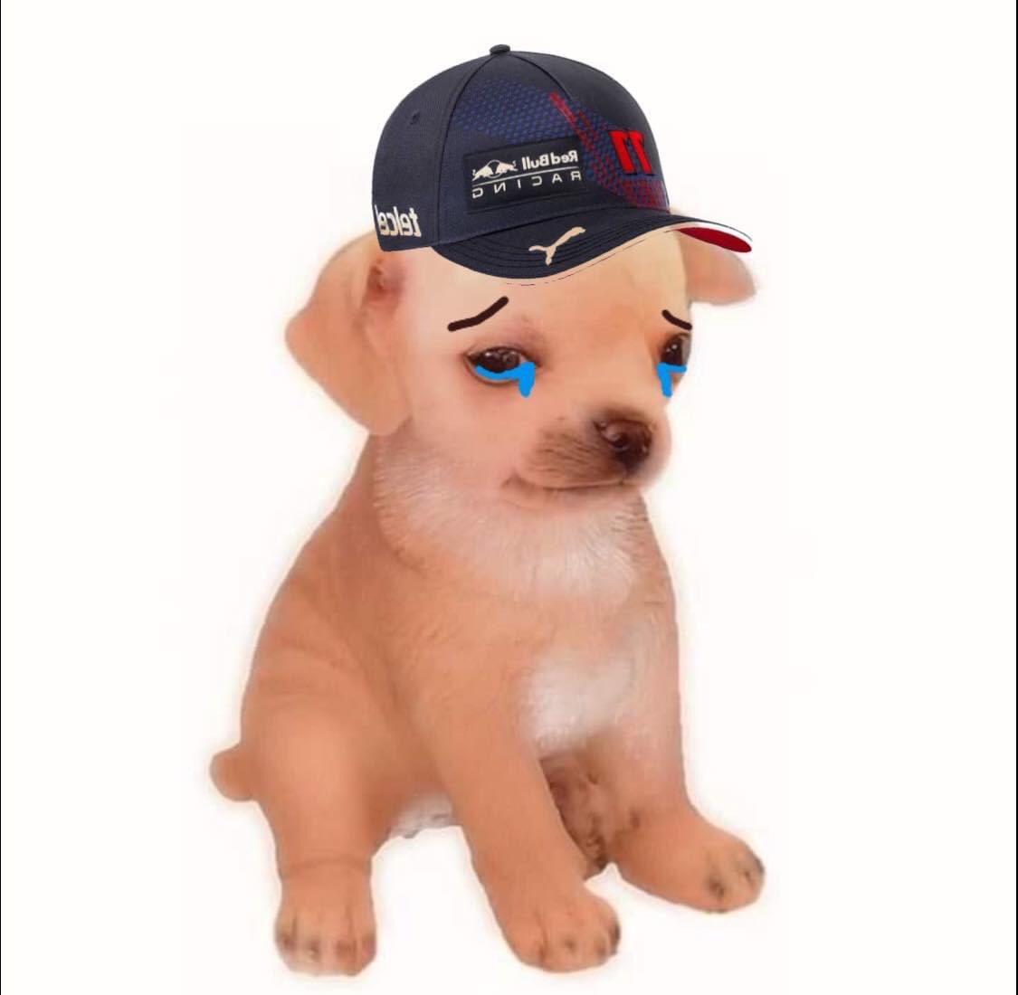 Aarón Baeza on Twitter: "😔 https://t.co/tJCisxGxmu" / Twitter