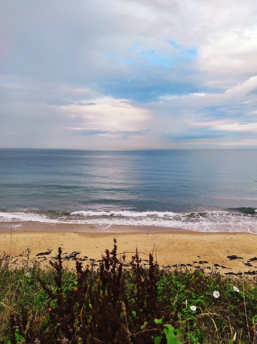 I feel so lucky that we will work at Whitley Bay this weekend <a href="/Properfoodfest/">Proper Food And Drink Festivals</a> .