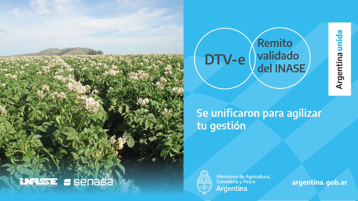 inaseargentina's tweet photo. 🥔 Si sos productor de papa semilla fiscalizada y estás inscripto en el #renfo y #rncyfs, te contamos que fusionamos los documentos con @SenasaAR
#agilidad #operatoria #trabajointerisntitucional #unificación https://t.co/Shj5AJJTaM
