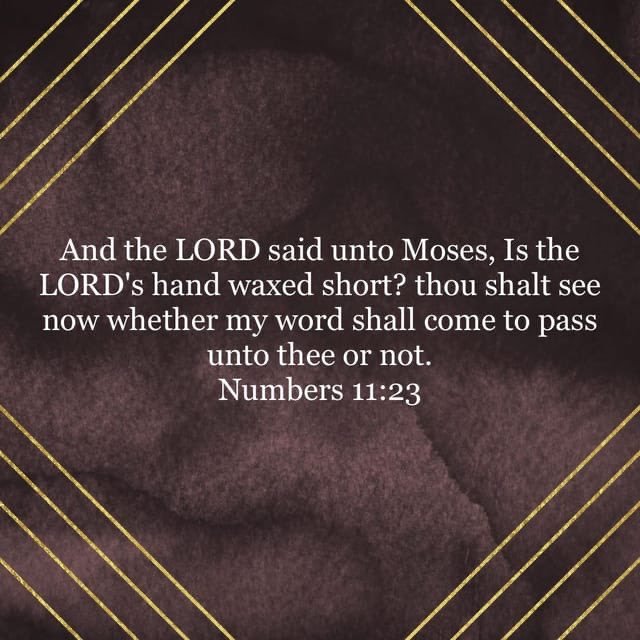 abaileyapb's tweet image. bible.com/bible/1/num.11…