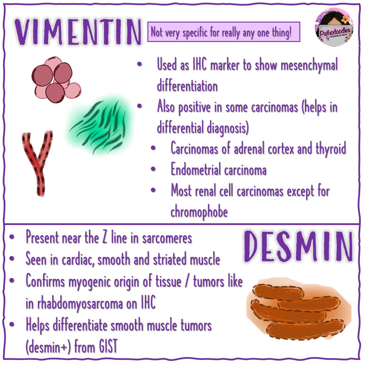 pathodoodles's tweet photo. One of my absolute favorite links from #MedStudentTwitter to #PathTwitter #pathodoodles #pathboards #ihc #generalpath #oncopath https://t.co/E722Re5lpR