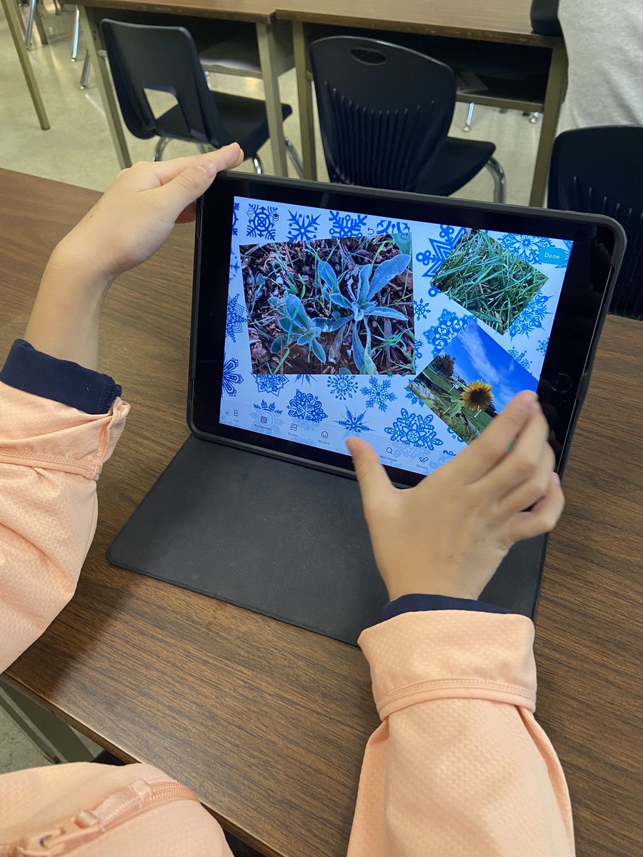 Mrs. Carrusca tweet media