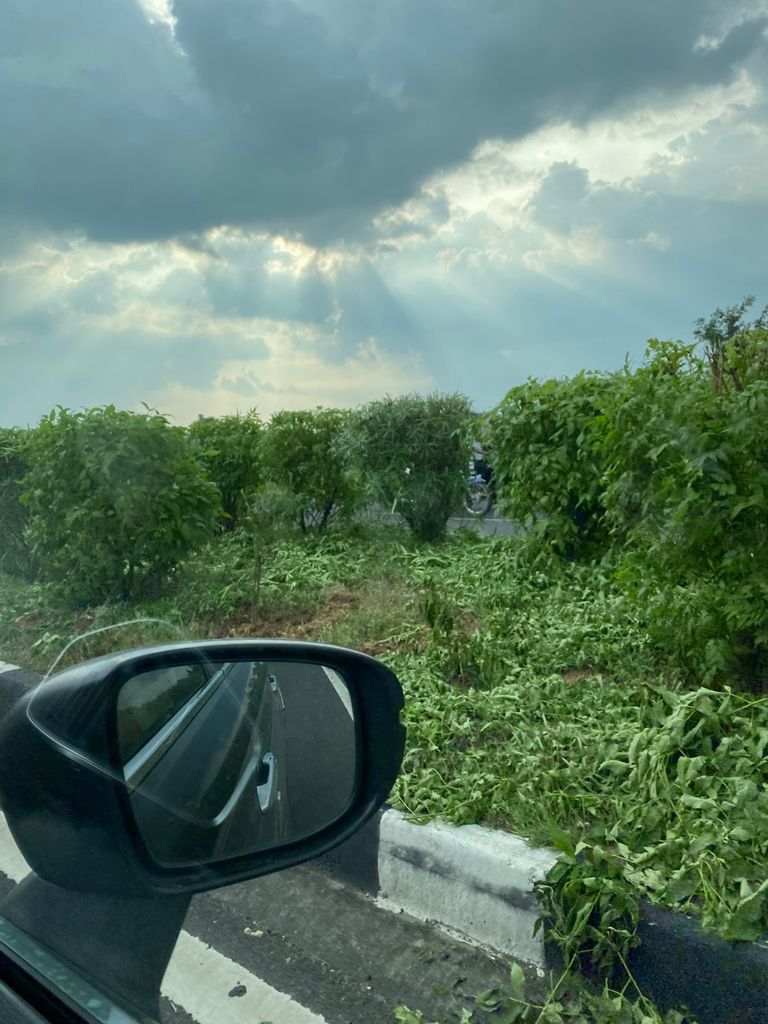 Sandipanthakur1's tweet photo. @HondaCarIndia , Delighted to take the new honda city to Udaipur from Mumbai ....amazing feeling ~800 kms at a stretch (with some pit stops) with kid..No joke , that's honda city cvt beauty!!! https://t.co/IGSh9wdwL3