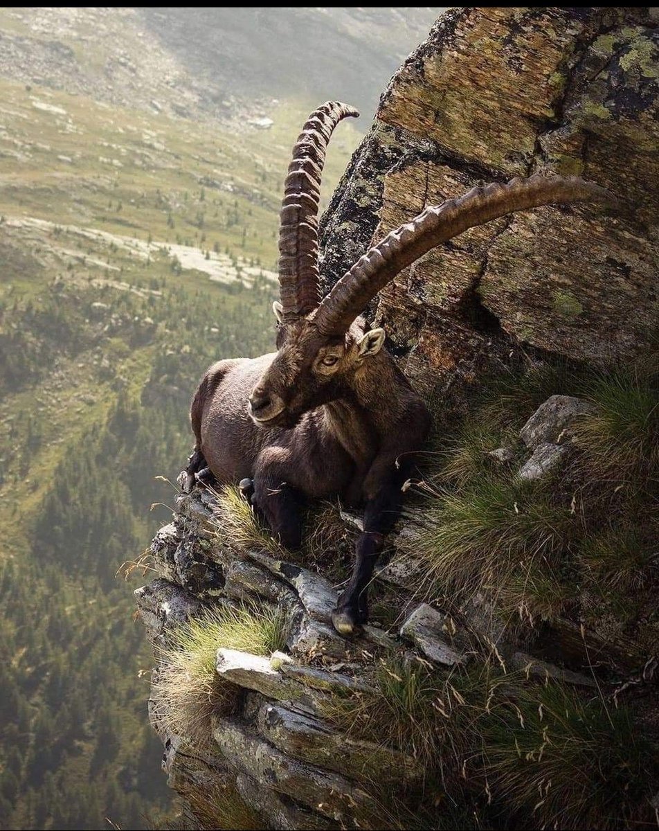 When you have to go to that one cafe where you are sure no one will know you 😁