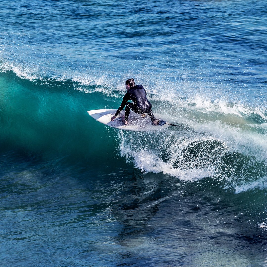 Logecamps's tweet photo. Just another day at #LOGEWestport, where fresh swells meet really fresh seafood. 

#visitWestport #LOGEcamps #surfinglife #eatlocal https://t.co/i0BBCnQvwN