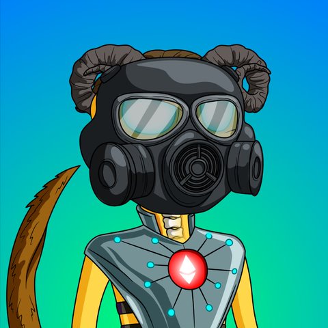 Cyber Hornets tweet media