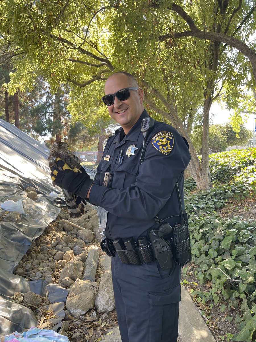 Sunnyvale DPS tweet media