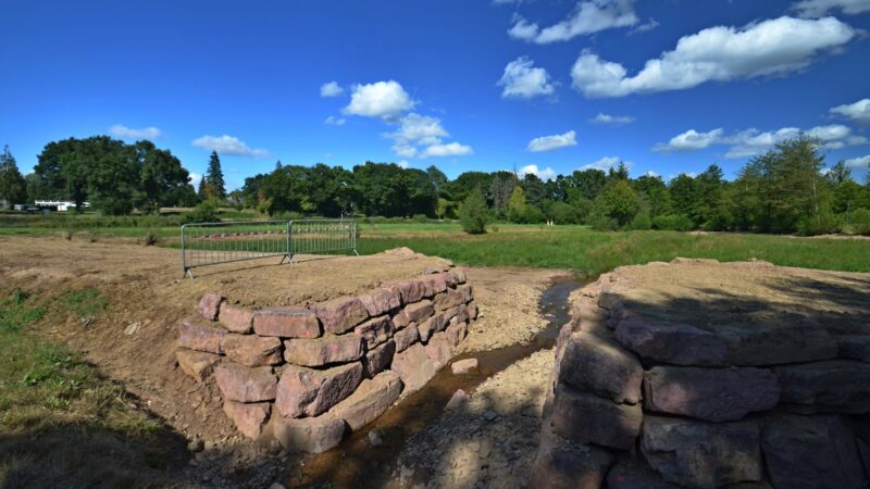BRUDED_'s tweet photo. Le saviez-vous ? La commune de #Concoret (56) a transformé son étang envasé et traversé par un cours d'eau en une zone humide où la #biodiversité revient petit à petit.
#environnement
Pour en savoir plus ➡https://t.co/KmupBxadM1 https://t.co/JM0HBcB9qs