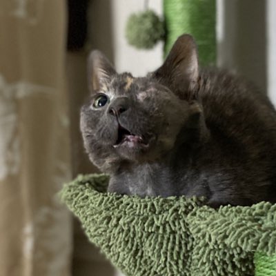 JustSoSmall's tweet image. #NewProfilePic