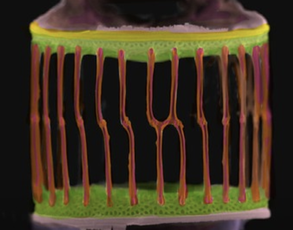 Dr. Tricia Thibodeau tweet media