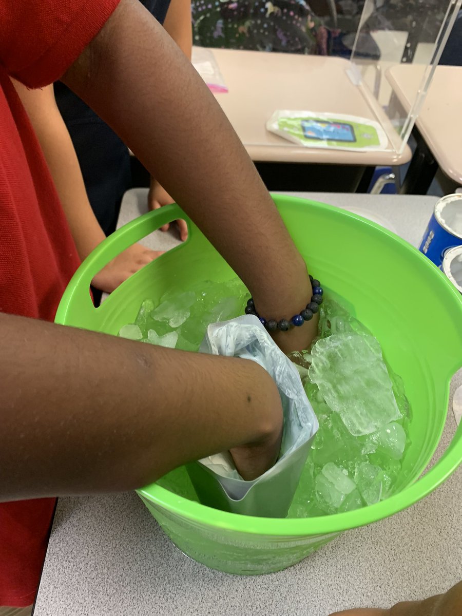 SharonS_SSE's tweet photo. Investigating and learning about physical adaptations made way for high levels of student engagement for our third grade scholars! Back to hands on learning. #KEScommitted2highperformance! @CCPSNews @amt53197 https://t.co/3E9uX4PLPo