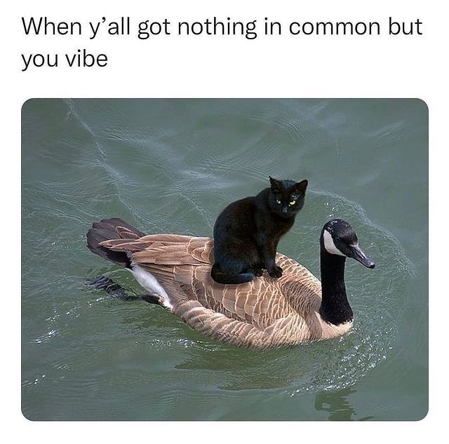 Tag your extrovert friend!