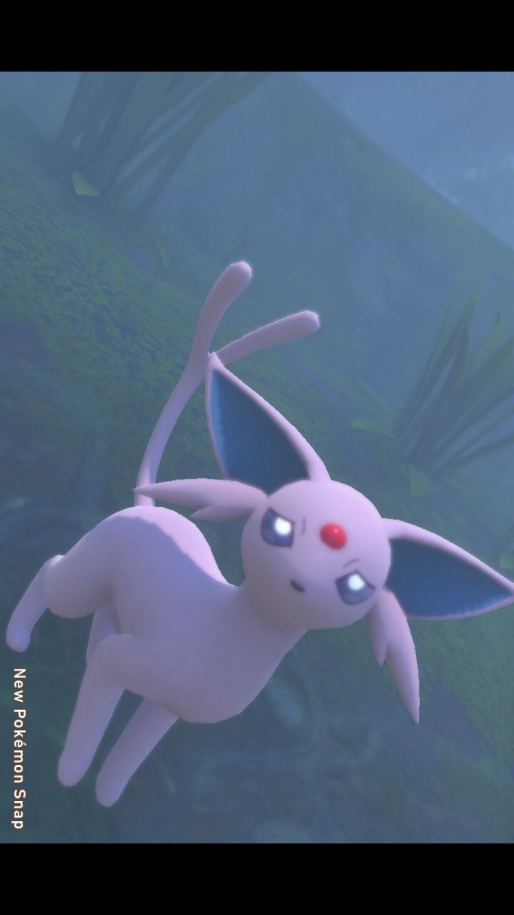 تويتر 左記 على تويتر Newポケモンスナップ ポケスナ エーフィ 上手く行かなくて 人気のない森に来た 嫌な考えが頭をぐるぐる回り 目元が熱くなっていく 暫く蹲っているとボールから出てきたエーフィがそっと寄り添ってくれた T Co 9hbymr0irw
