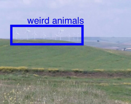 Scooterplastic's tweet photo. Wind deer :] weird mimic animals that look like wind turbines; they settle down in one spot and open their face panels during the day to absorb solar energy &amp; they often camp out for weeks by windmill farms before moving on. People sort of just leave them alone when they show up https://t.co/lyXJPtUn8B