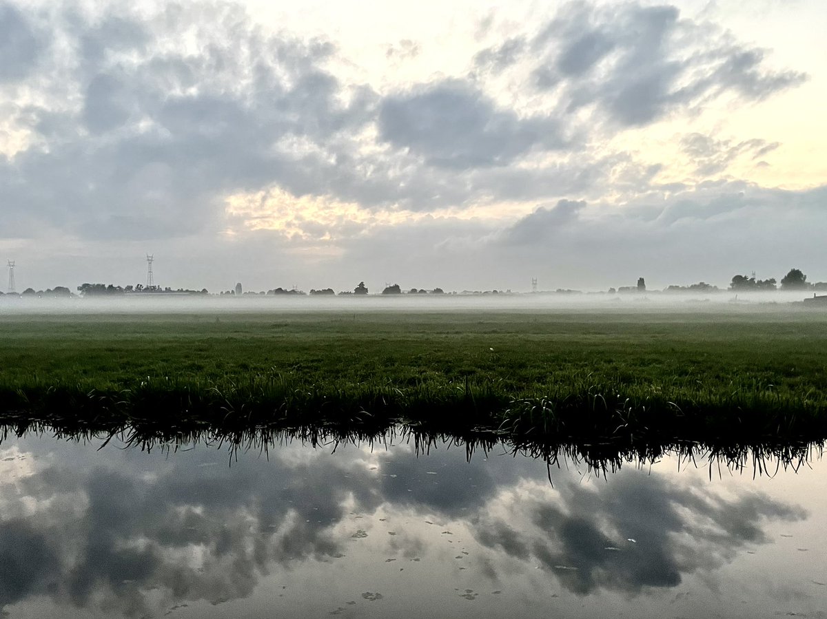 hierendaar's tweet photo. Fog me #krimpererwaard #NaturePhotography #nature #landscape #fog #softtone https://t.co/Ryk4qY1WUo