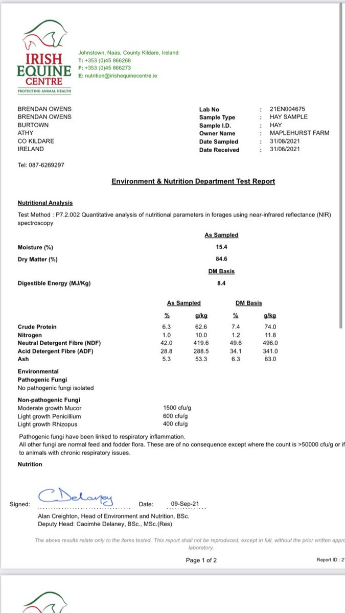 Maplehurst Farm tweet media