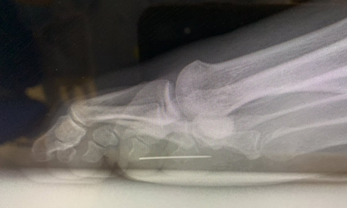 Dr. Ramón Navarro tweet media