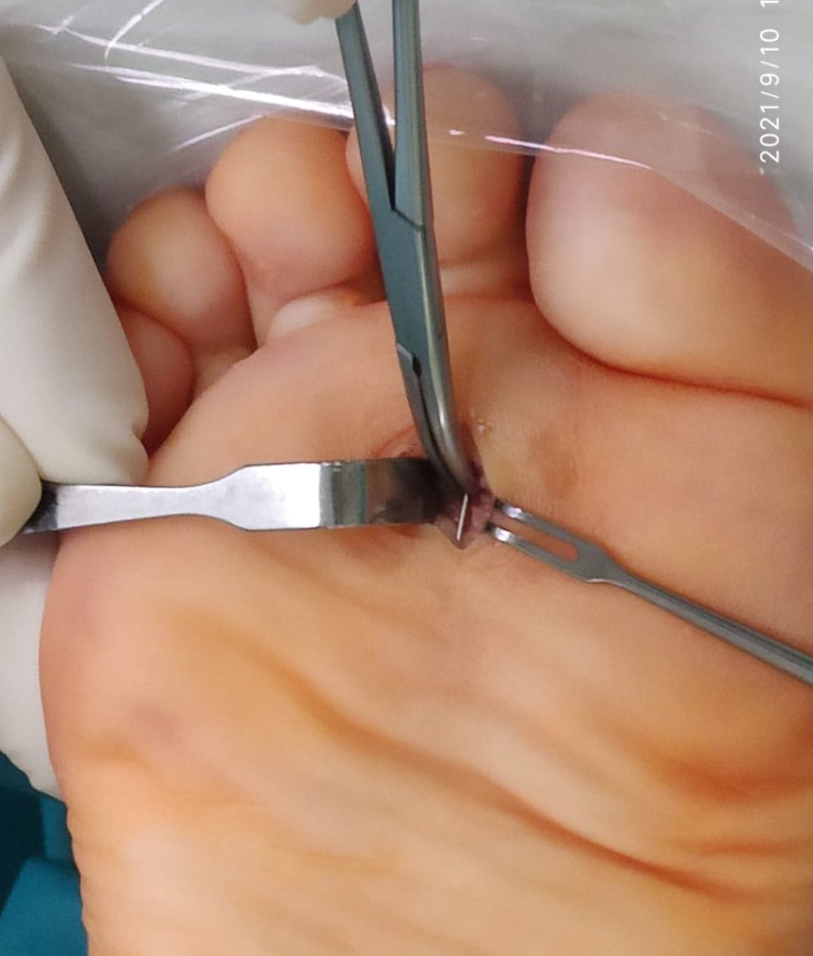 Dr. Ramón Navarro tweet media