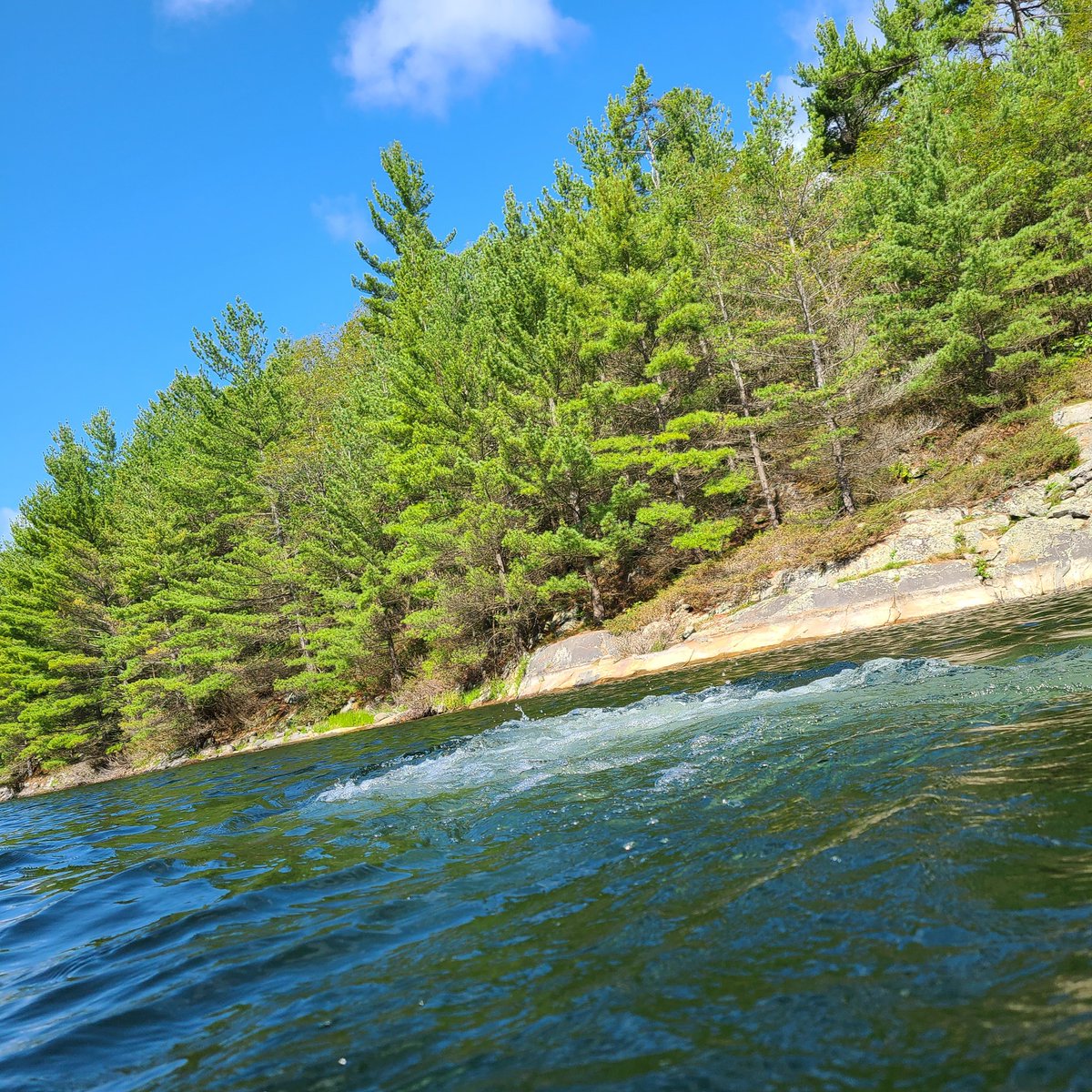 Tweets2Tina's tweet photo. The world looks and feels a little different from here 

#chooseserenity #nature #escape #georgianbay #cottage #getaway #Coffee #boating #peaceful https://t.co/hJtR0UTpO3