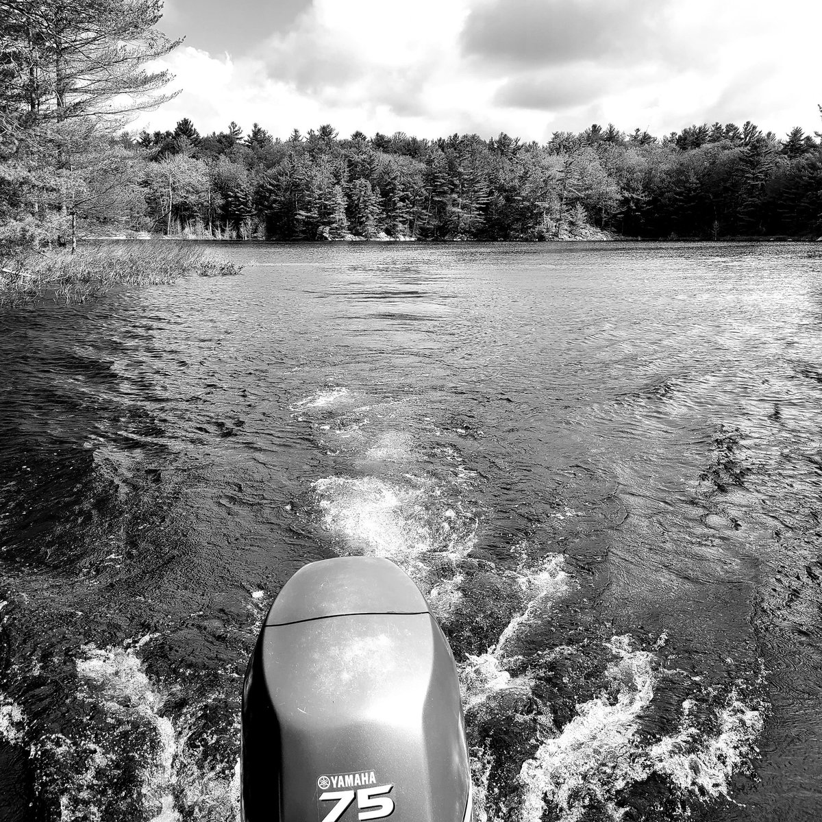 The world looks and feels a little different from here 

#chooseserenity #nature #escape #georgianbay #cottage #getaway #Coffee #boating #peaceful