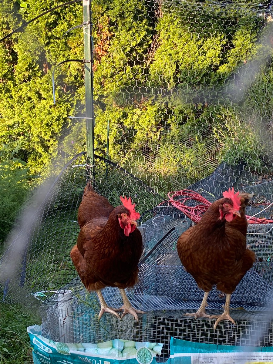 105April's tweet image. 