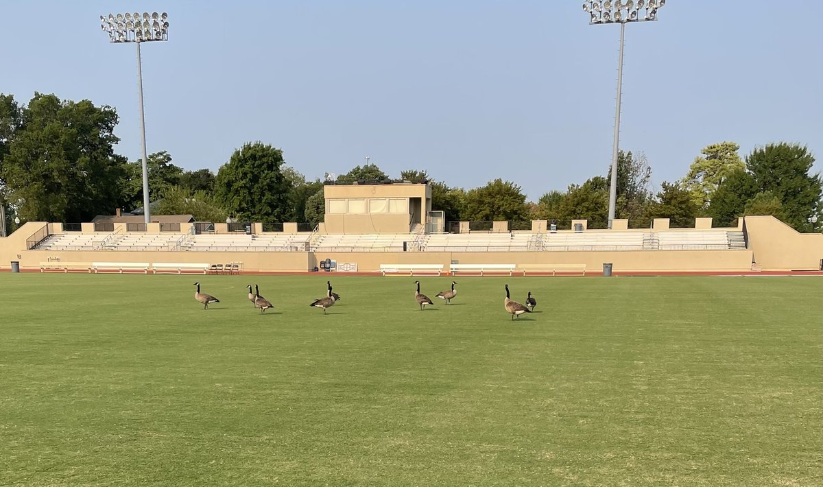 Finally figured out how <a href="/Spinmartin21/">Spin Martin</a> keeps the <a href="/TulsaHurricane/">Tulsa Golden Hurricane</a> soccer field so green and manicured!!!