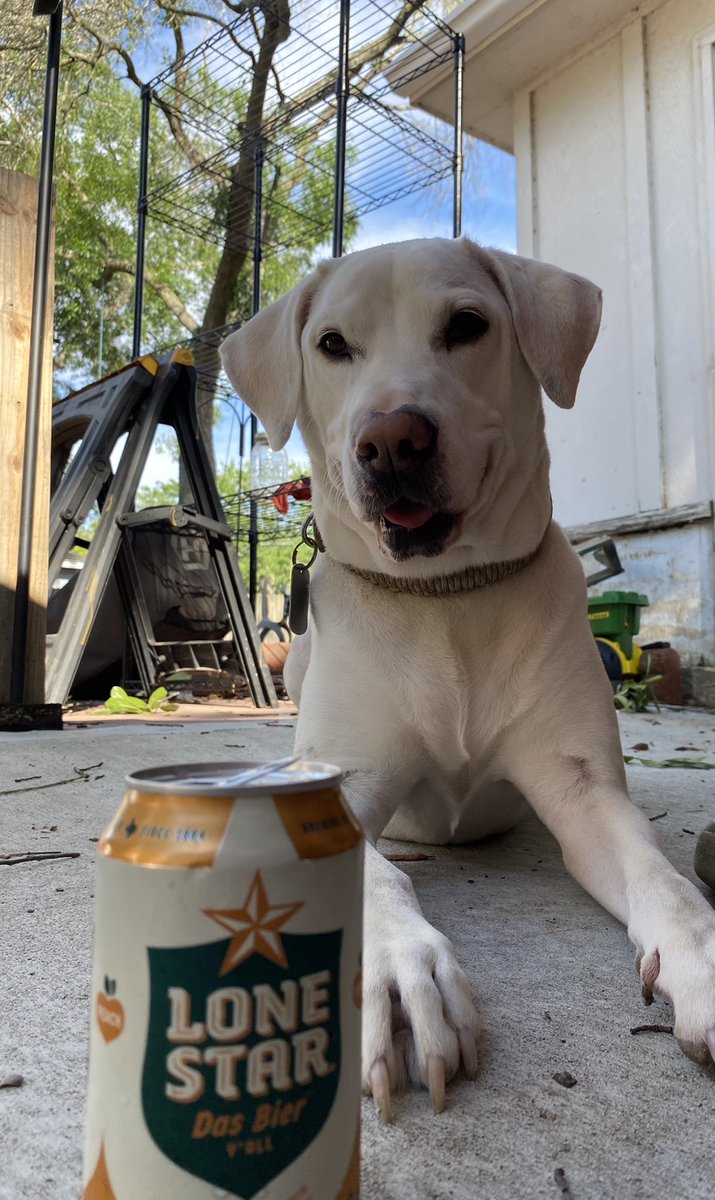 firenadohtx's tweet photo. @FlatlandCavalry https://t.co/pawlEn0bUD