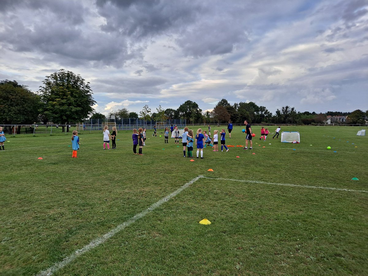 Wideopen Wildcats, Squad Girls & Just Play tweet media