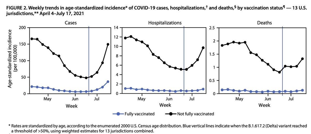 Jeanne Marrazzo tweet media